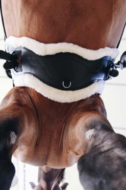 Kentucky Horsewear Anatomischer Lammfell Gurtschoner -Pferdebedarf Angebote 338010 NAT 4