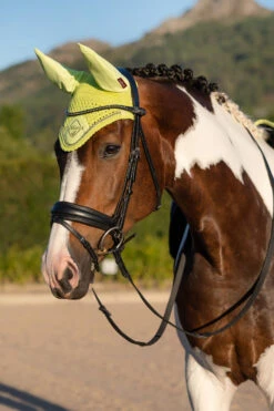 LeMieux Classic Fliegenohren 37 LeMieux Classic Fliegenohren -Pferdebedarf Angebote 338077 SLGR 02