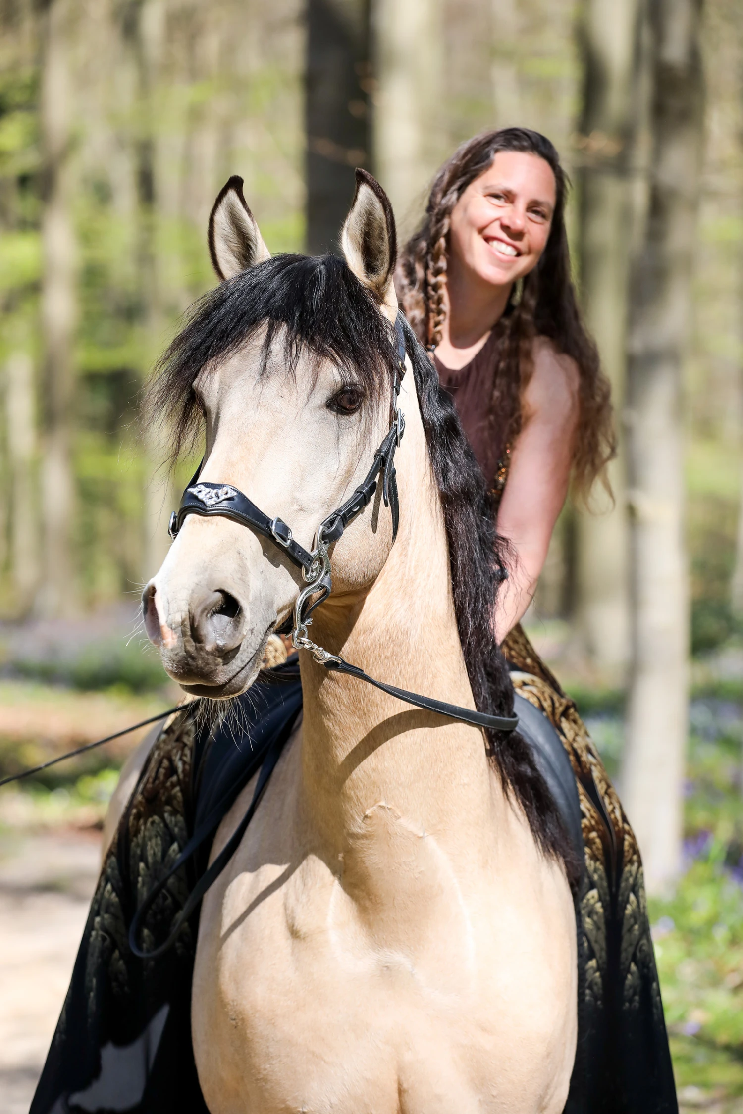 F.R.A. Imperial Hackamore Zaum, Shire 2 F.R.A. Imperial Hackamore Zaum, Shire – Bild 2