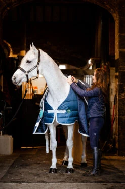 Horseware AmEco Liner, 100g -Pferdebedarf Angebote 340947 TE G 3