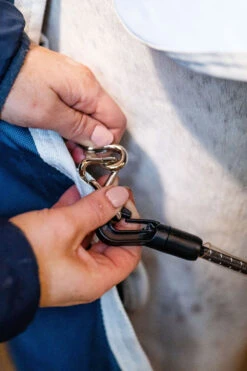 Horseware AmEco Liner, 100g -Pferdebedarf Angebote 340947 TE G 7