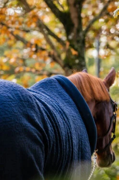Horseware Embossed Cosy Neck Abschwitzdecke -Pferdebedarf Angebote 340951 DB BU 7