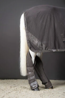 Eskadron Classic Sports FS22 Aerial Jersey Abschwitzdecke -Pferdebedarf Angebote 341070 FSBR 3