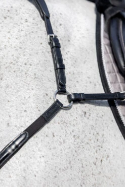 LeMieux Vorderzeug Mit Abnehmbarem Martingal 9 LeMieux Vorderzeug Mit Abnehmbarem Martingal -Pferdebedarf Angebote 342208 BL 3