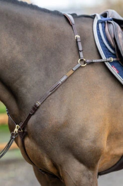 LeMieux Vorderzeug Mit Abnehmbarem Martingal 13 LeMieux Vorderzeug Mit Abnehmbarem Martingal -Pferdebedarf Angebote 342208 HVBR 4