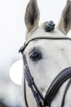 LeMieux Classic Dressurtrense -Pferdebedarf Angebote 342209 HVBR 4