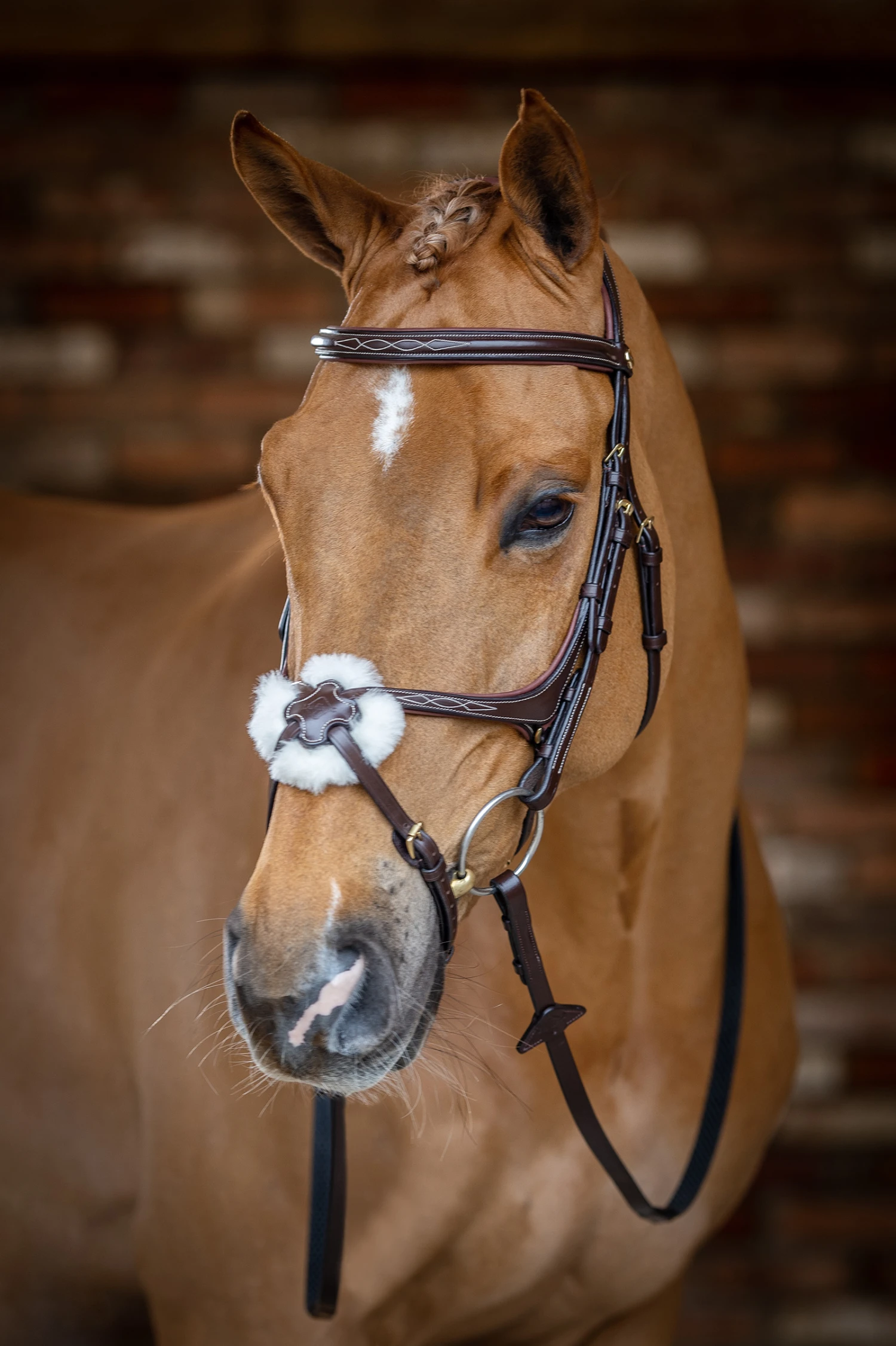 LeMieux Mexikanische Trense 4 LeMieux Mexikanische Trense – Bild 4