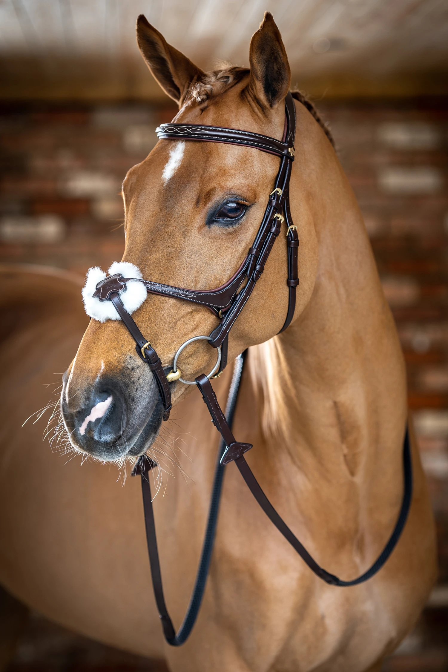 LeMieux Mexikanische Trense 5 LeMieux Mexikanische Trense – Bild 5