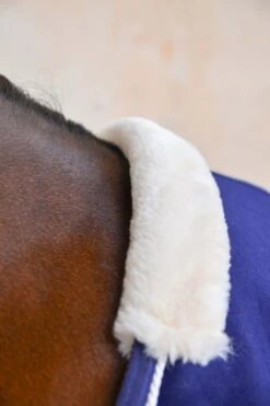 Harcour Cancale Abschwitzdecke 7 Harcour Cancale Abschwitzdecke -Pferdebedarf Angebote 342514 DB 3