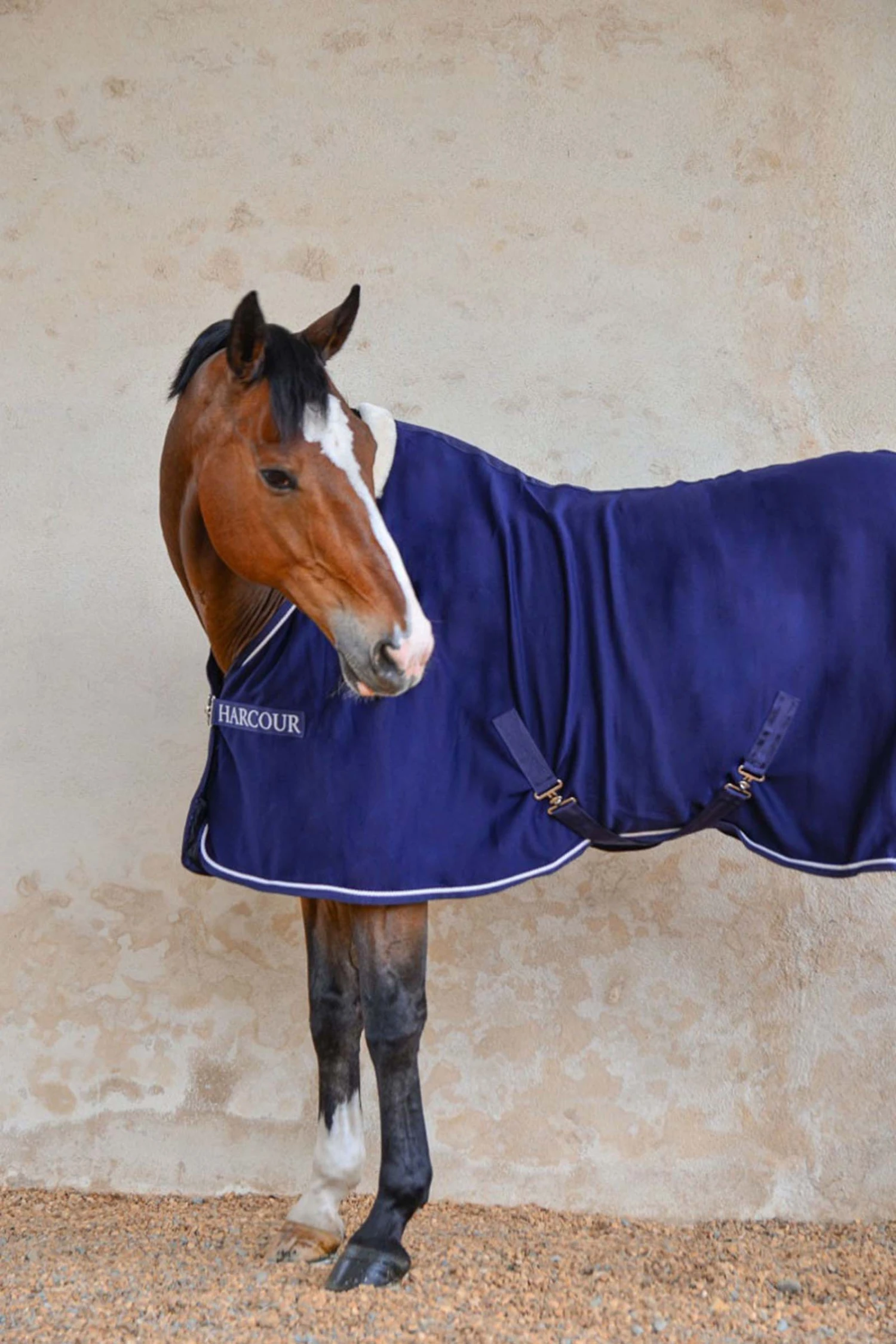 Harcour Cancale Abschwitzdecke 5 Harcour Cancale Abschwitzdecke – Bild 5