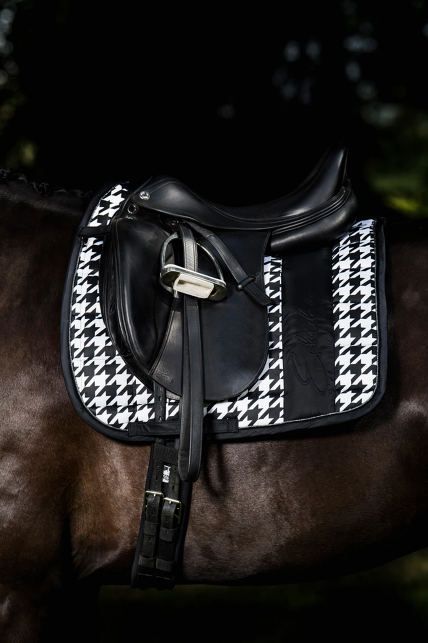 Eskadron Essence 22/23 Big Square Glossy Dressurschabracke 2 Eskadron Essence 22/23 Big Square Glossy Dressurschabracke – Bild 2