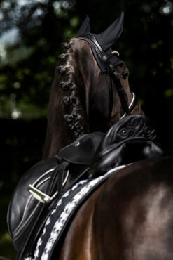 Eskadron Essence 22/23 Big Square Glossy Dressurschabracke 12 Eskadron Essence 22/23 Big Square Glossy Dressurschabracke -Pferdebedarf Angebote 342542 BL WH LOGR 3