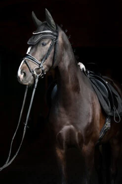 Eskadron Essence 22/23 Glitter Mesh Sport Fliegenhaube -Pferdebedarf Angebote 342557 DOGR 2