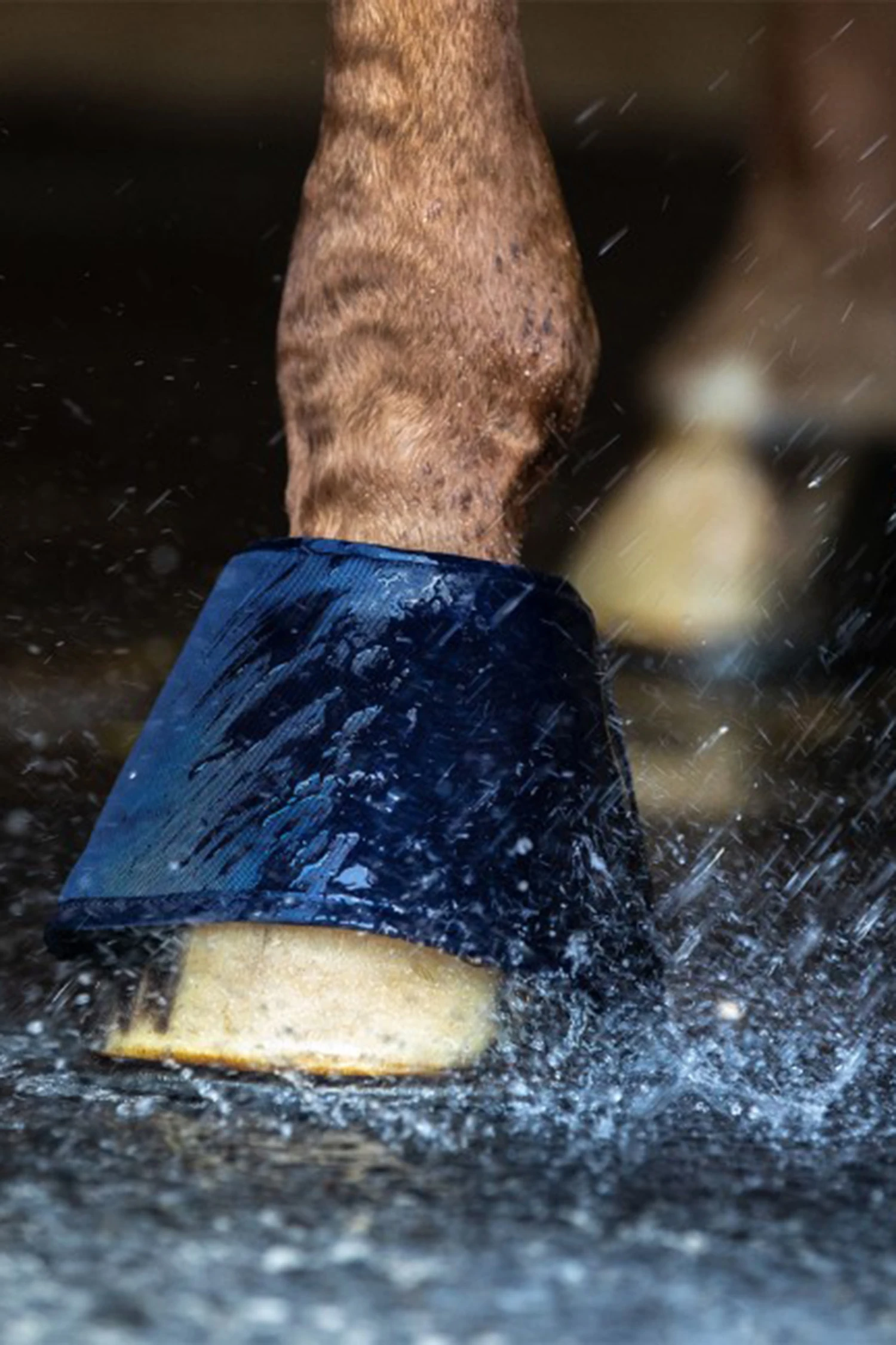 Waldhausen Water Boot, Paar 4 Waldhausen Water Boot, Paar – Bild 4