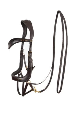 F.R.A. Glory Gebisslose Trense (System 4) Kinn Gekreuzt -Pferdebedarf Angebote 343445 BR 2