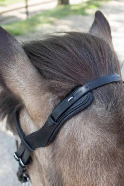 Waldhausen Anatomic Island Trensenzaum -Pferdebedarf Angebote 343984 BL 4