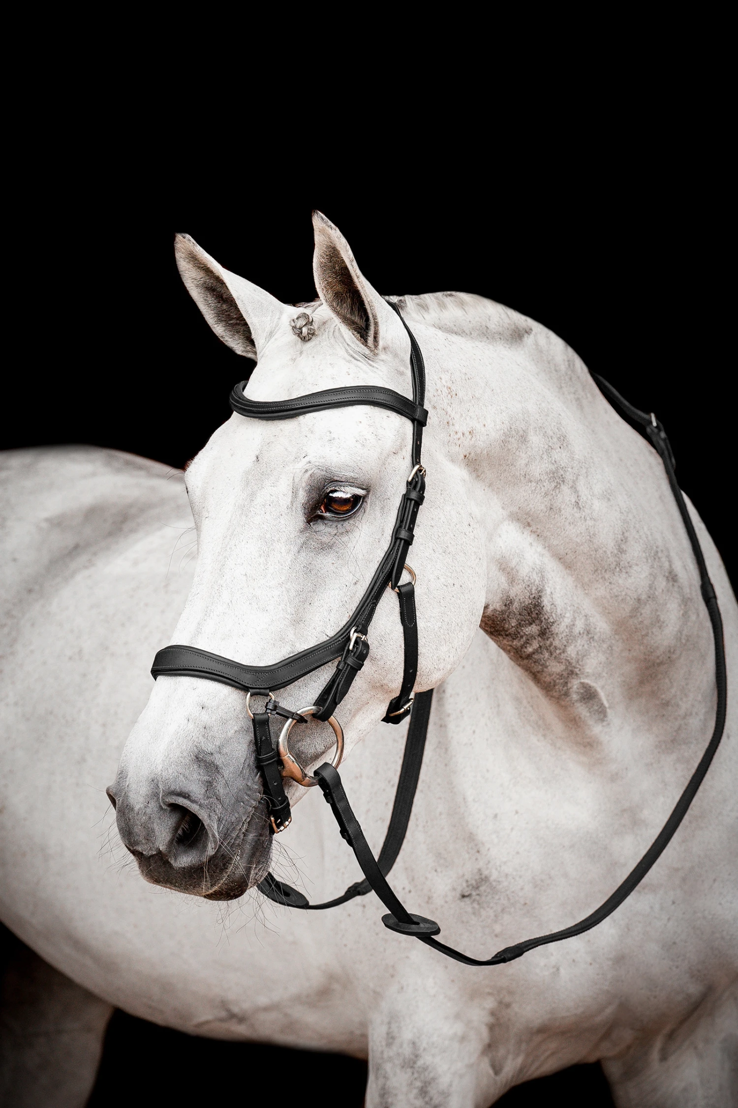 Horseware Rambo Micklem 2 Diamante Competition Trense Mit Zügeln 1 Horseware Rambo Micklem 2 Diamante Competition Trense Mit Zügeln