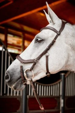 Horseware Rambo Micklem 2 Diamante Competition Trense Mit Zügeln 8 Horseware Rambo Micklem 2 Diamante Competition Trense Mit Zügeln -Pferdebedarf Angebote 345015 DBR 02