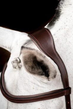 Horseware Rambo Micklem 2 Diamante Competition Trense Mit Zügeln 9 Horseware Rambo Micklem 2 Diamante Competition Trense Mit Zügeln -Pferdebedarf Angebote 345015 DBR 03