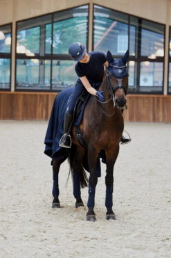 Eskadron Platinum Pure FS23 Glitter Mesh Fliegenhaube 9 Eskadron Platinum Pure FS23 Glitter Mesh Fliegenhaube -Pferdebedarf Angebote 345512 DB 04