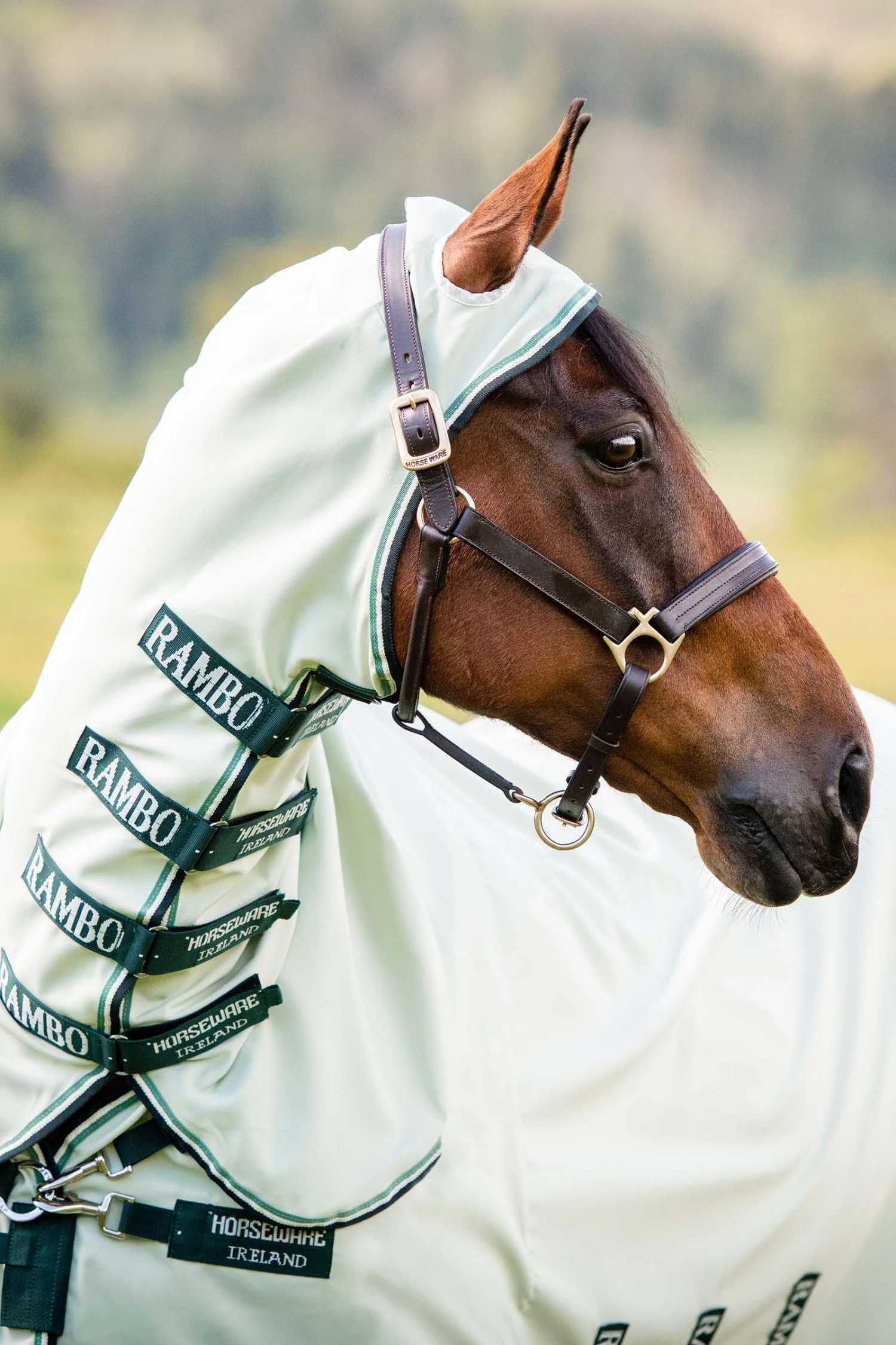 Horseware Rambo Hoody Fliegendecke 5 Horseware Rambo Hoody Fliegendecke – Bild 5