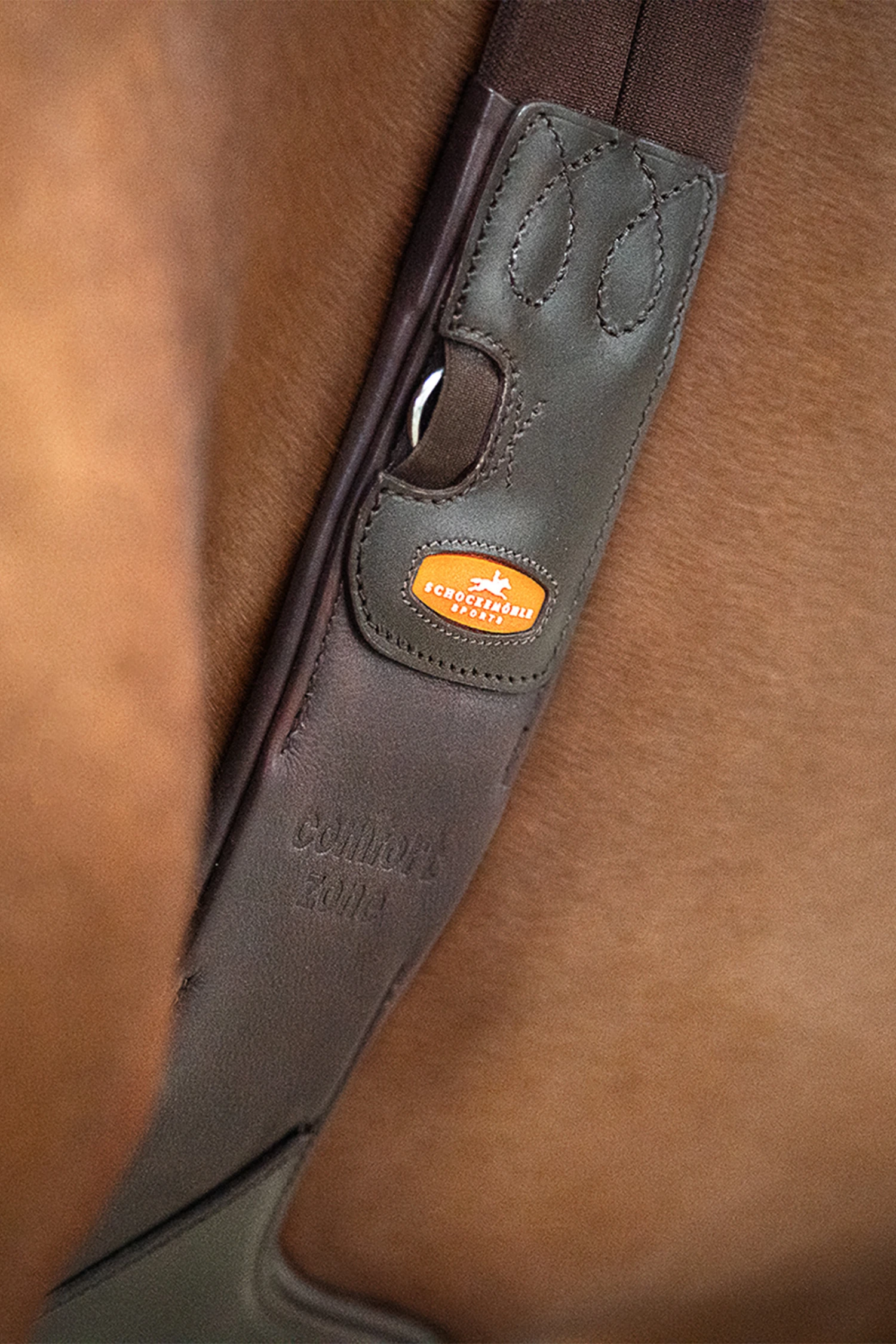 Schockemöhle Oklahoma Stollengurt 18 Schockemöhle Oklahoma Stollengurt – Bild 18