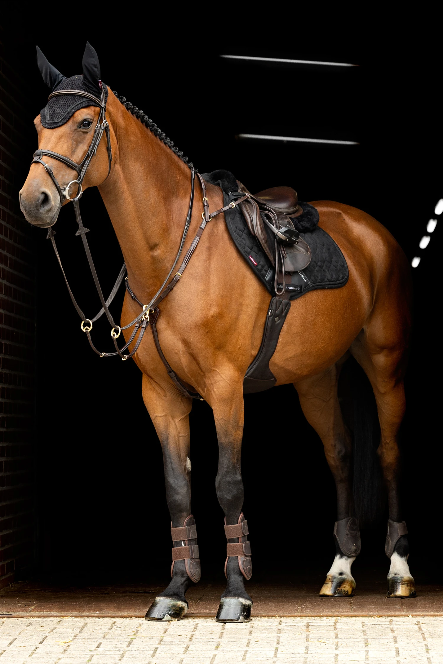 LeMieux Crystal Fliegenhaube 5 LeMieux Crystal Fliegenhaube – Bild 5