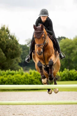 LeMieux Crystal Fliegenhaube 7 LeMieux Crystal Fliegenhaube -Pferdebedarf Angebote Z1KR0 780 03