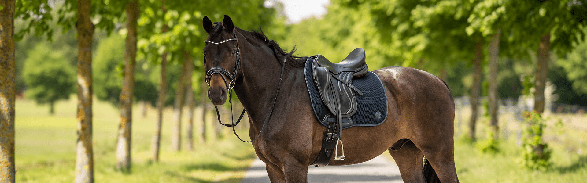 Pferdebedarf Angebote 2 Pferdebedarf Angebote -Pferdebedarf Angebote 1