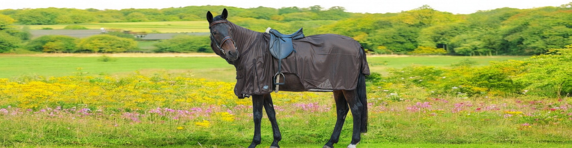 Pferdebedarf Angebote 20 Pferdebedarf Angebote -Pferdebedarf Angebote 2